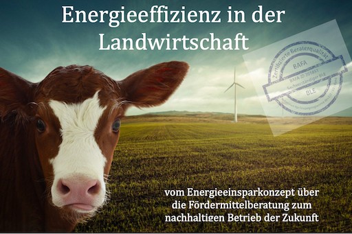 das Bild zeigt eine Landschaft mit einer Windkraftanlage und einer Kuh zusammen mit einem Stempel für zertifizierte Energieberatung